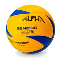 AlphaKeepers Мяч волейбольный GENESIS T5 6501